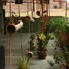 IMG_1076